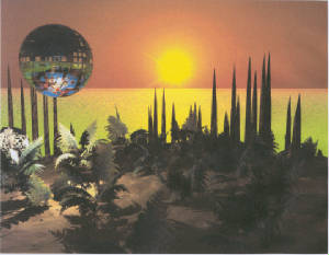 photofernbluff.jpg