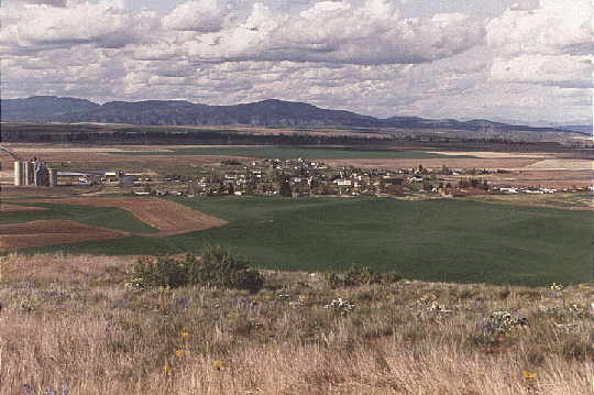 crestown.jpg